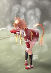 ninomiya asuka from idolmaster by gojarun