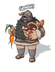 senshi (dungeon meshi) from dungeon meshi