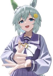 seiun sky (umamusume) from umamusume