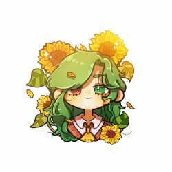 kazami yuuka from touhou