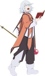 raine sage from tales of (series)