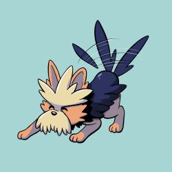 herdier from pokemon