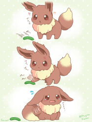 eevee from pokemon