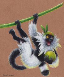 passimian from pokemon