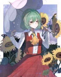 kazami yuuka from touhou