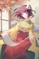 hieda no akyuu from touhou