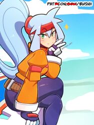 ashe (mega man) from mega man (series)
