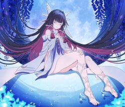 columbina (genshin impact) from genshin impact