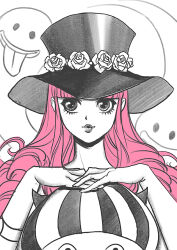 kumacy from one piece