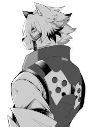 von lycaon from zenless zone zero