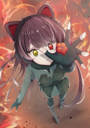 inui toko from nijisanji