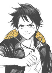 monkey d. luffy from one piece