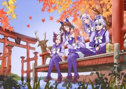 gold ship (umamusume) from umamusume