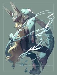 lucario from pokemon
