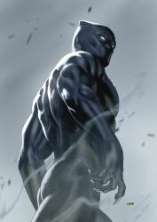 black panther (marvel) from marvel