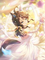 daring tact (umamusume) from umamusume