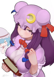 patchouli knowledge from touhou