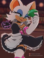 rouge the bat from sonic (series)