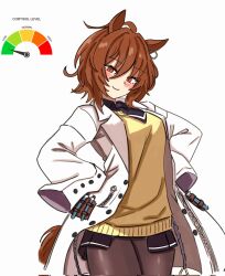 agnes tachyon (tach-nology) (umamusume) from umamusume