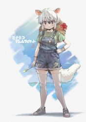 southern tamandua (kemono friends) from kemono friends