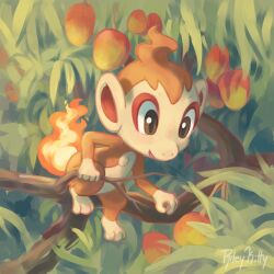 chimchar from pokemon