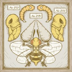 beedrill from pokemon