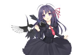 ookura risona from tsuki ni yorisou otome no sahou