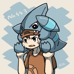 gible from pokemon