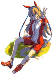 tamamo cross (umamusume) from umamusume