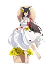 ookami mio from hololive by bangom r
