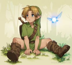 link from the legend of zelda