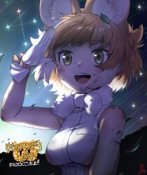 dhole (kemono friends) from kemono friends