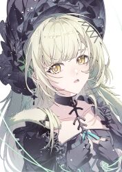 wakaba mutsumi from arknights
