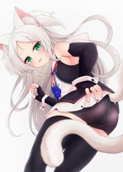 sims (azur lane) from azur lane