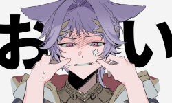 granblue fantasy fan art