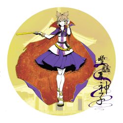 toyosatomimi no miko from touhou