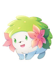 shaymin from pokemon
