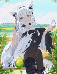 shirakami fubuki from hololive