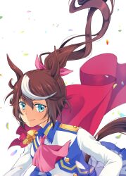 tokai teio (umamusume) from umamusume