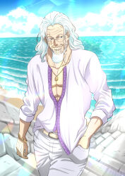 silvers rayleigh from one piece by musasabiop