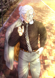 silvers rayleigh from one piece by musasabiop