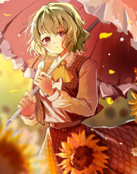 kazami yuuka from touhou