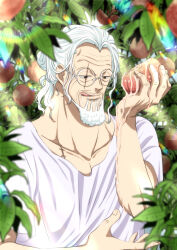 silvers rayleigh from one piece by musasabiop