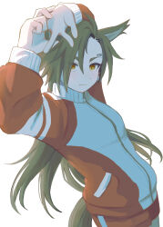 air shakur (umamusume) from umamusume