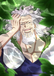 silvers rayleigh from one piece by musasabiop