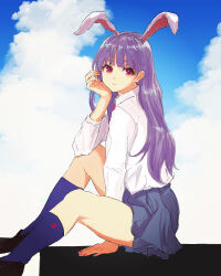 reisen udongein inaba from touhou by kashiwada kiiho