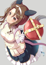 king halo (umamusume) from umamusume