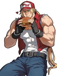 terry bogard from fatal fury
