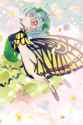 eternity larva from touhou by katsuragi atori