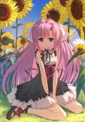 natsusaki yomi from himawari no kyoukai to nagai natsuyasumi